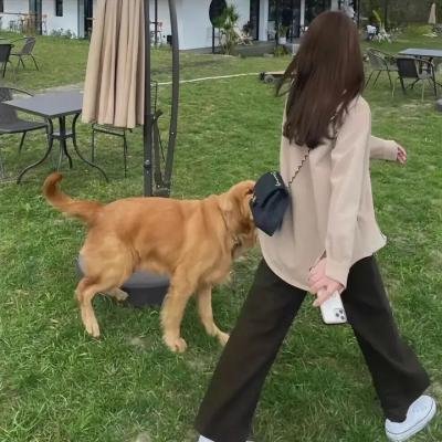 走出监狱的女人 海报